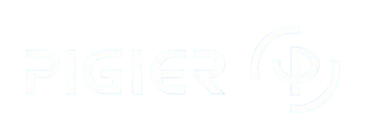 Udmci